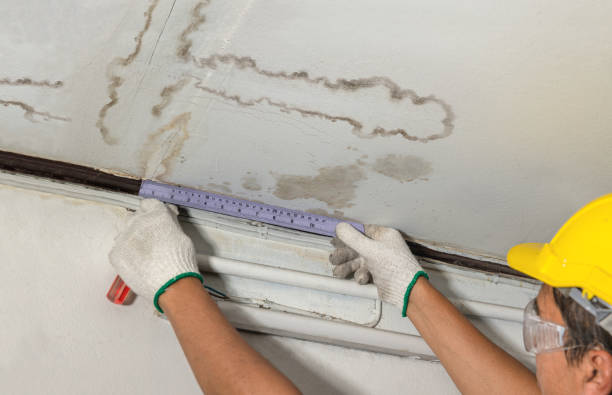 Reliable Sewage Cleanup contractor in Bellevue, WI by Water Damage Irwin